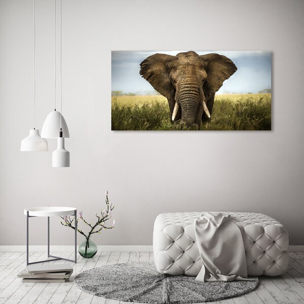 Pictură pe pânză Elephant pe savana