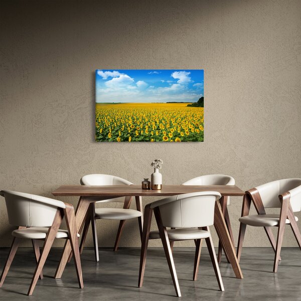 Tablou - câmp cu floarea soarelui (90x60 cm)