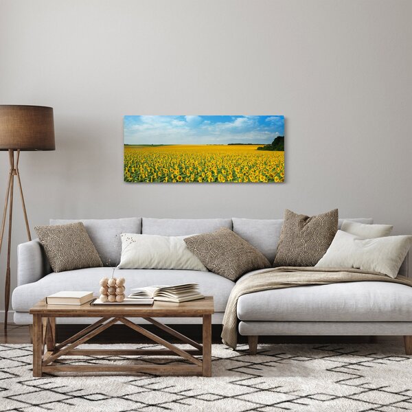Tablou - câmp cu floarea soarelui (120x50 cm)