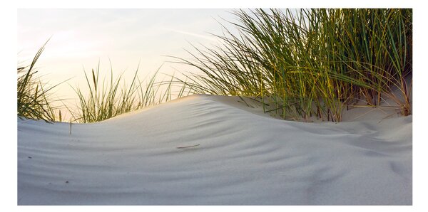 Fotografie imprimată pe sticlă dune de coastă