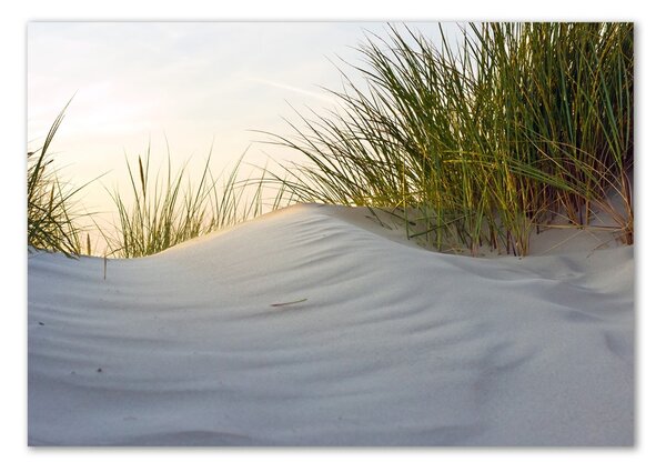 Fotografie imprimată pe sticlă dune de coastă