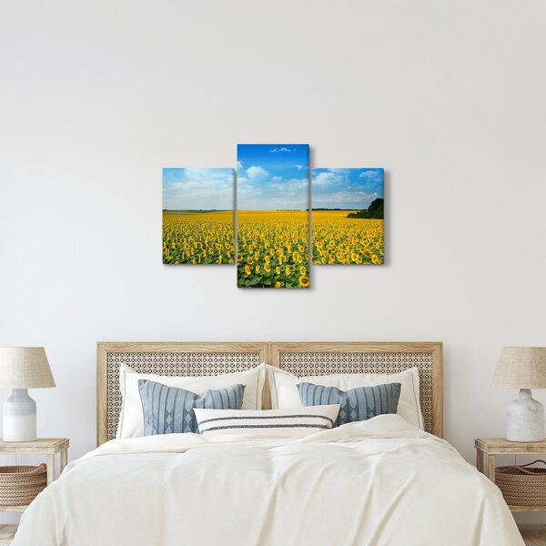 Tablou - câmp cu floarea soarelui (90x60 cm)