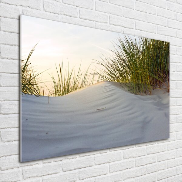 Fotografie imprimată pe sticlă dune de coastă