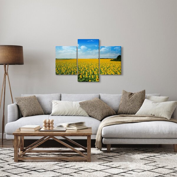 Tablou - câmp cu floarea soarelui (90x60 cm)