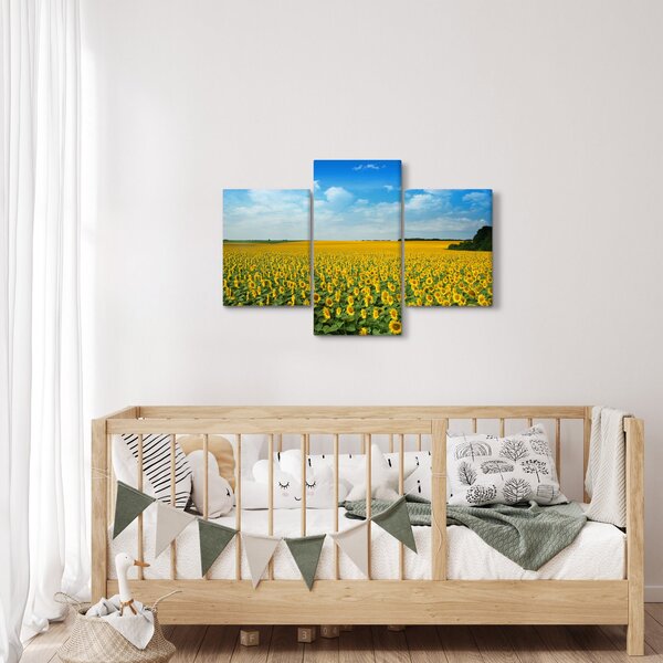 Tablou - câmp cu floarea soarelui (90x60 cm)