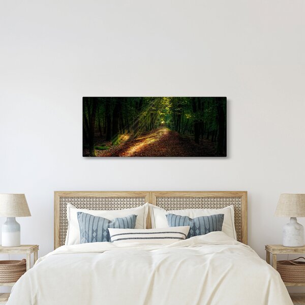 Tablou cu poteca prin pădure (120x50 cm)