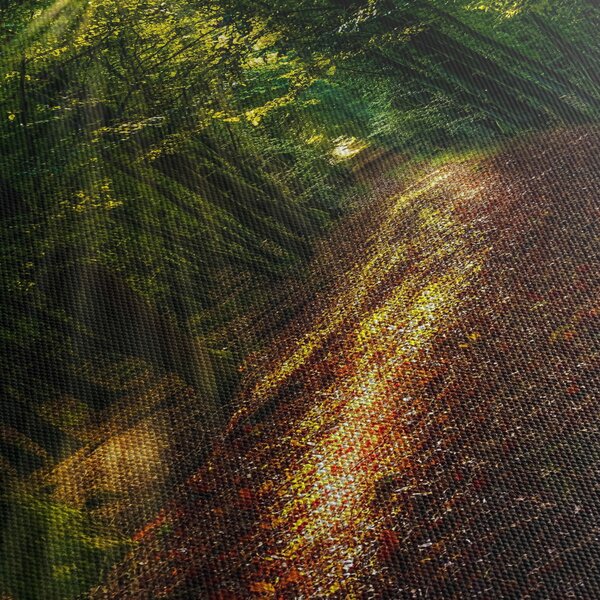 Tablou cu poteca prin pădure (150x105 cm)