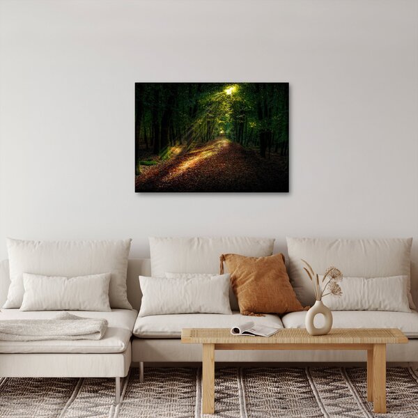 Tablou cu poteca prin pădure (70x50 cm)