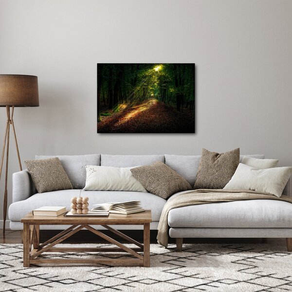 Tablou cu poteca prin pădure (70x50 cm)
