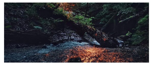 Tablou cu râu montan (120x50 cm)
