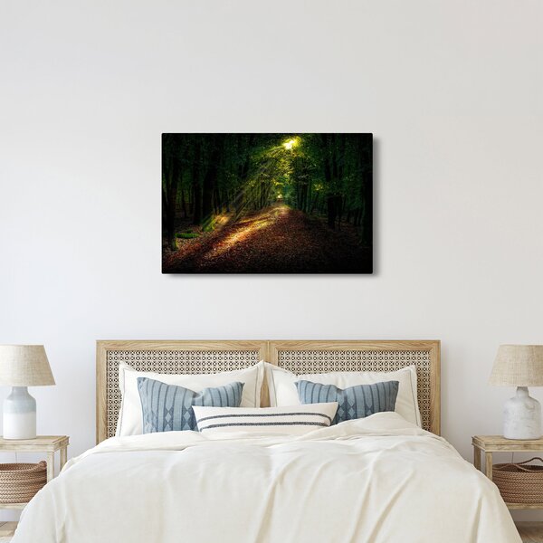 Tablou cu poteca prin pădure (90x60 cm)