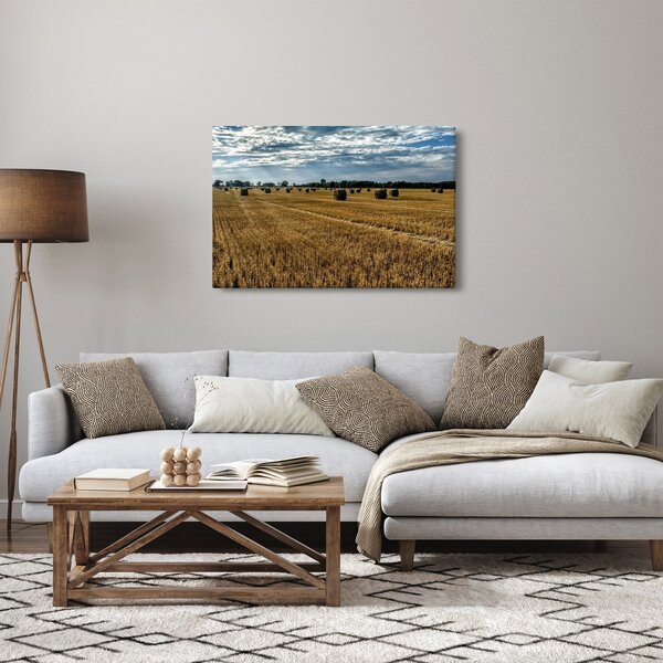 Tablou cu câmp recoltat (90x60 cm)