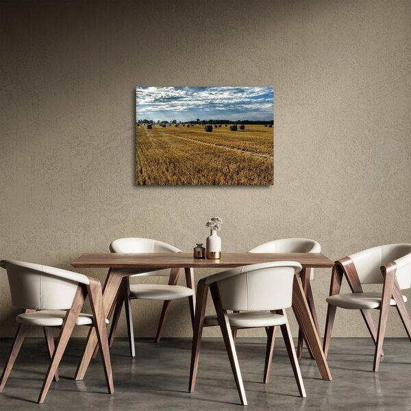 Tablou cu câmp recoltat (70x50 cm)