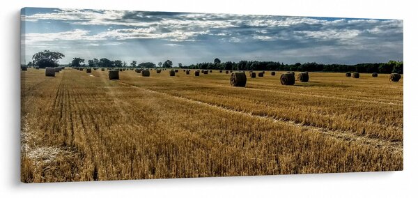 Tablou cu câmp recoltat (120x50 cm)