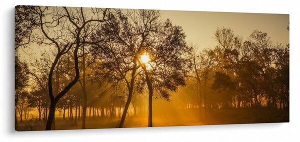 Tablou cu răsăsrit de soare (120x50 cm)