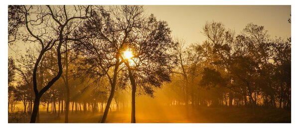 Tablou cu răsăsrit de soare (120x50 cm)