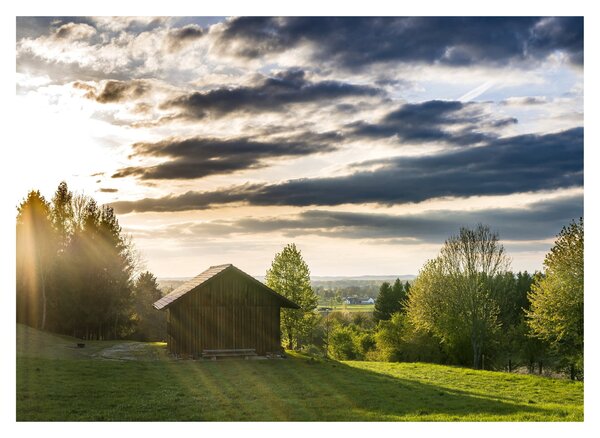 Tablou cabana în pădure (70x50 cm)