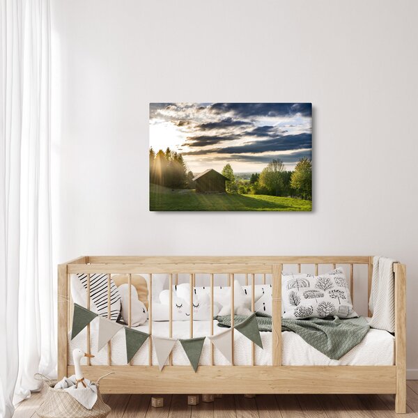 Tablou cu cabana pe luncă (90x60 cm)