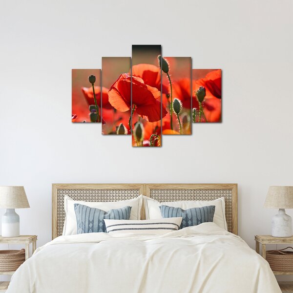 Tablou cu flori de maci (150x105 cm)