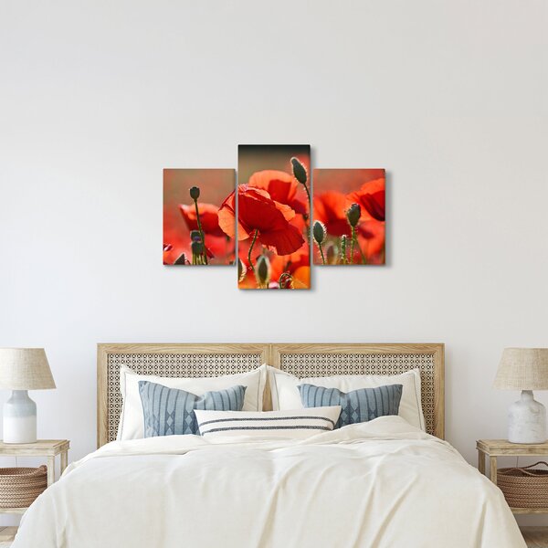 Tablou cu flori de maci (90x60 cm)