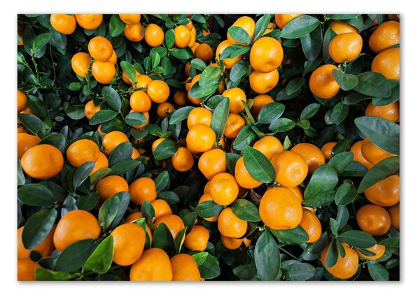 Tablou pe pe sticlă mandarine