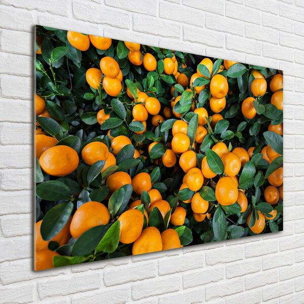 Tablou pe pe sticlă mandarine