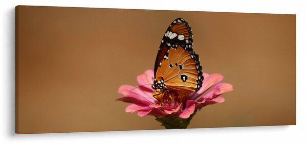 Tablou cu fluture pe floare (120x50 cm)