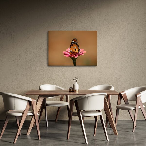 Tablou cu fluture pe floare (70x50 cm)