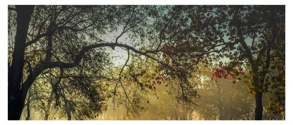 Tablou cu răsărit de soare (120x50 cm)