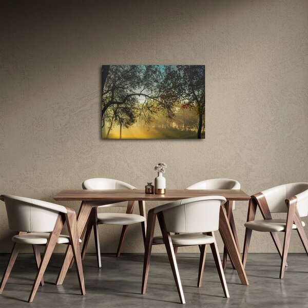 Tablou cu răsărit de soare (70x50 cm)