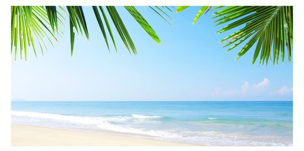 Tablou pe pe sticlă plaja tropicala