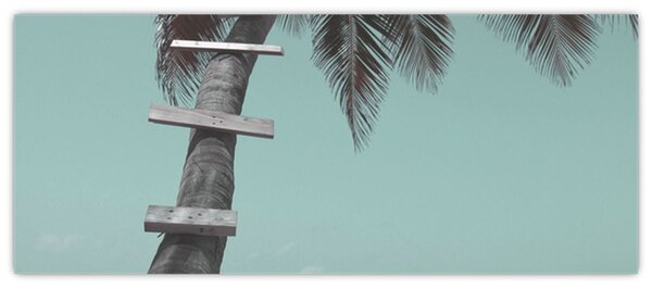 Tablou - Palma în Caraibe (120x50 cm)