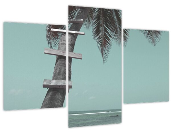 Tablou - Palma în Caraibe (90x60 cm)