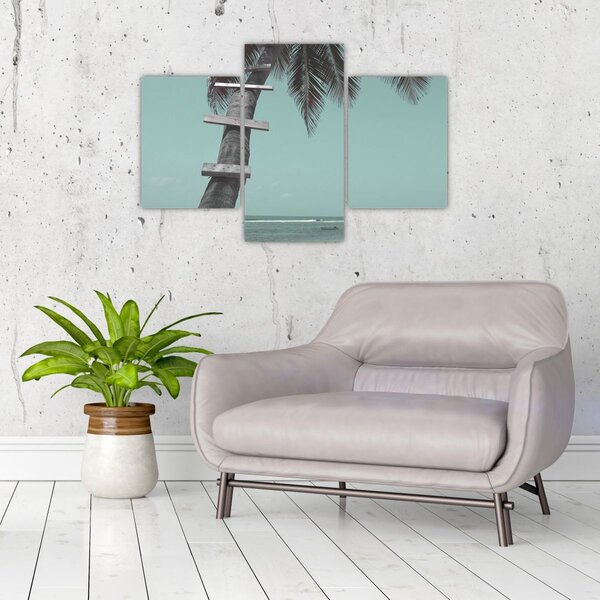 Tablou - Palma în Caraibe (90x60 cm)