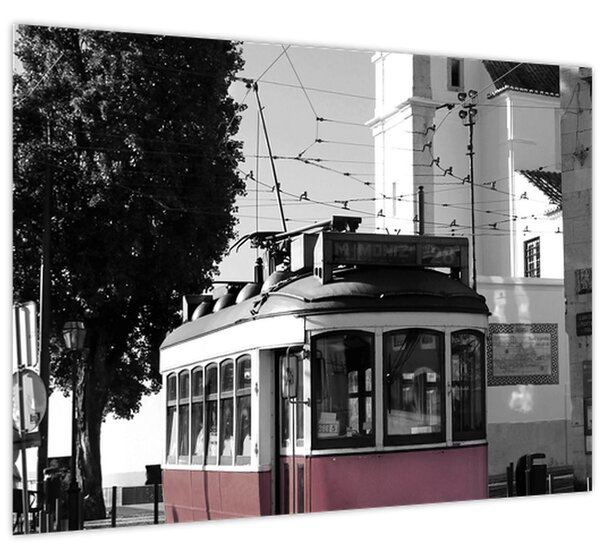 Tablou - Tramvaiul (70x50 cm)