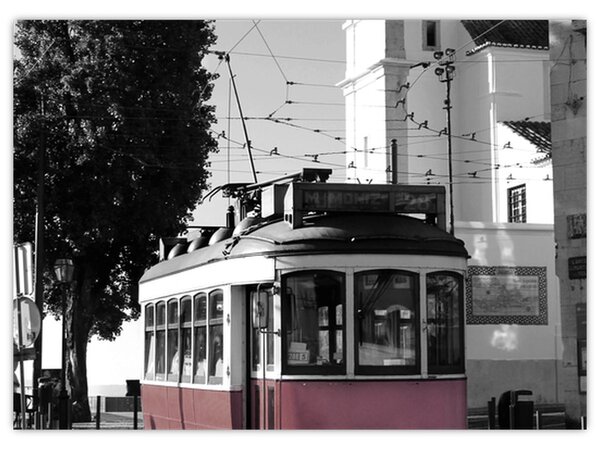 Tablou - Tramvaiul (70x50 cm)