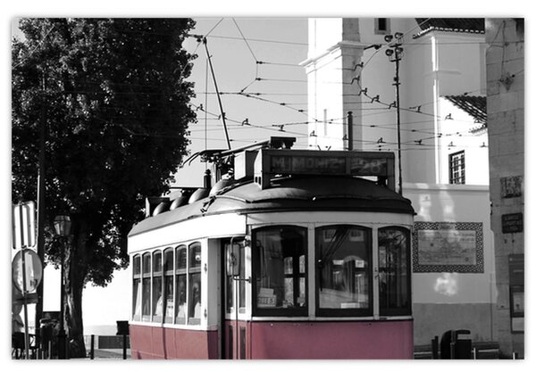 Tablou - Tramvaiul (90x60 cm)