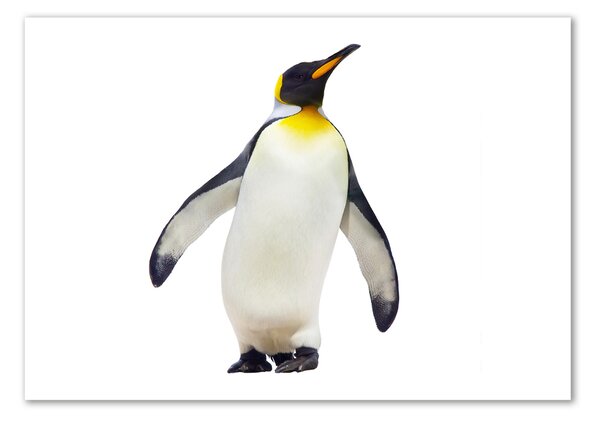 Tablou Printat Pe Sticlă Pinguin