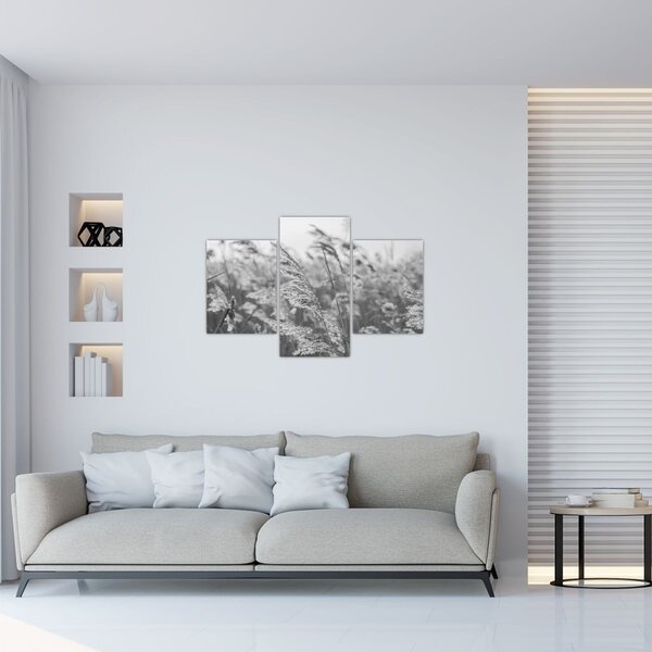 Tablou - Iarba în vânt (90x60 cm)