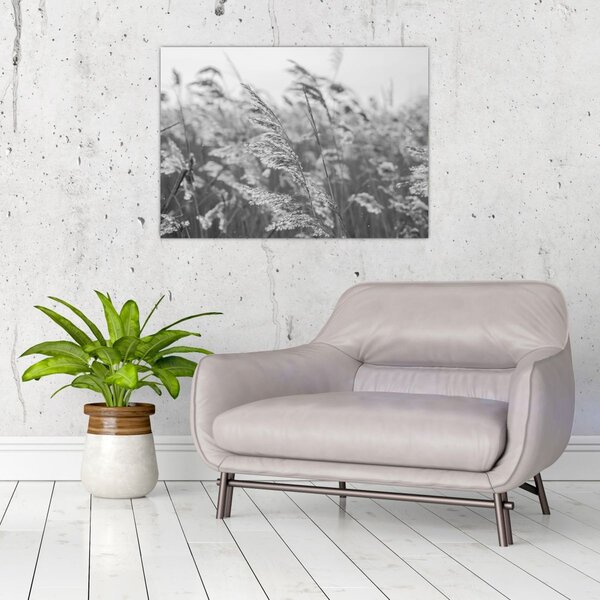 Tablou - Iarba în vânt (70x50 cm)