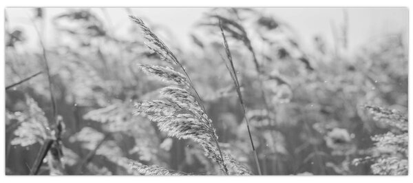 Tablou - Iarba în vânt (120x50 cm)