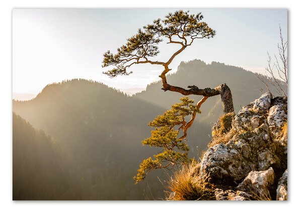 Tablou Printat Pe Sticlă Pieniny Sokolica