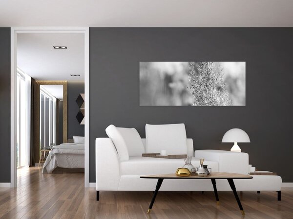 Tablou - Iarbă de pampas Boho (120x50 cm)