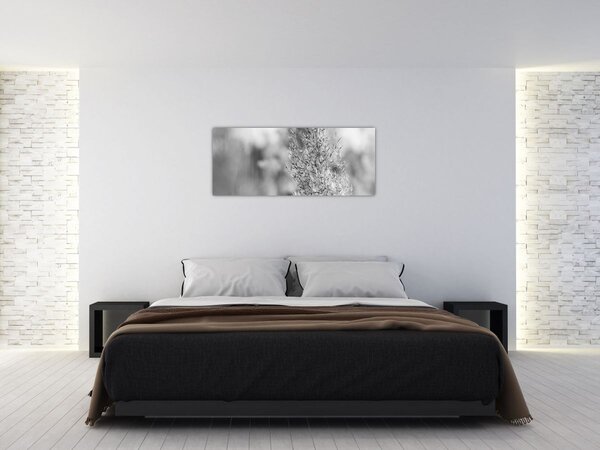 Tablou - Iarbă de pampas Boho (120x50 cm)
