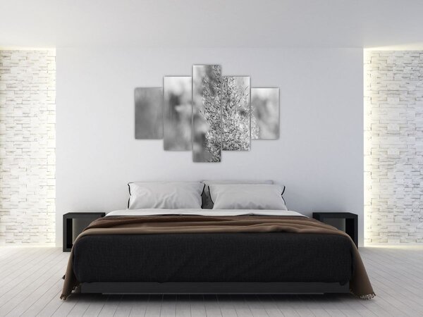 Tablou - Iarbă de pampas Boho (150x105 cm)