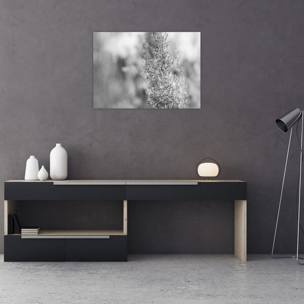 Tablou - Iarbă de pampas Boho (70x50 cm)