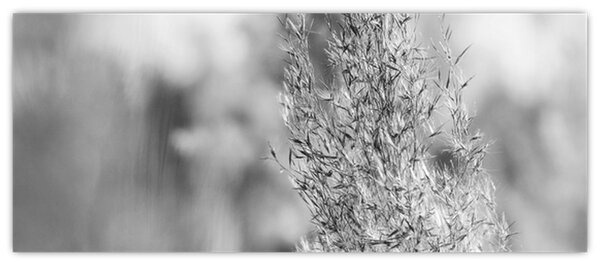 Tablou - Iarbă de pampas Boho (120x50 cm)