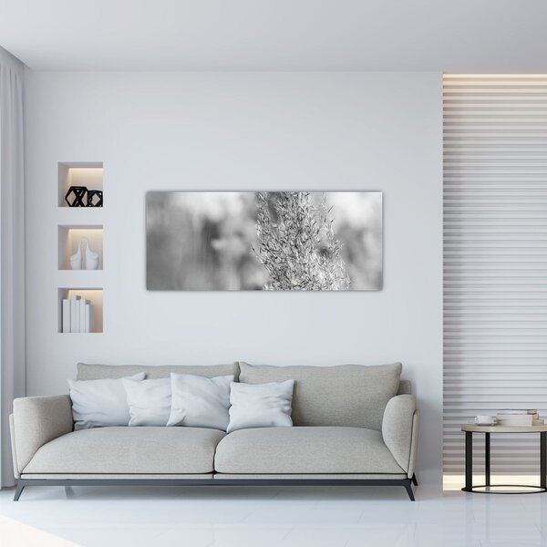 Tablou - Iarbă de pampas Boho (120x50 cm)