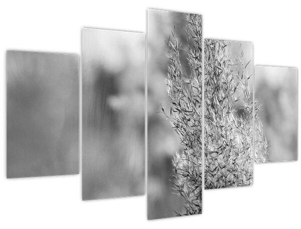 Tablou - Iarbă de pampas Boho (150x105 cm)