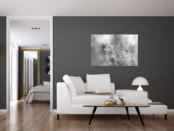 Tablou - Iarbă de pampas Boho (90x60 cm)
